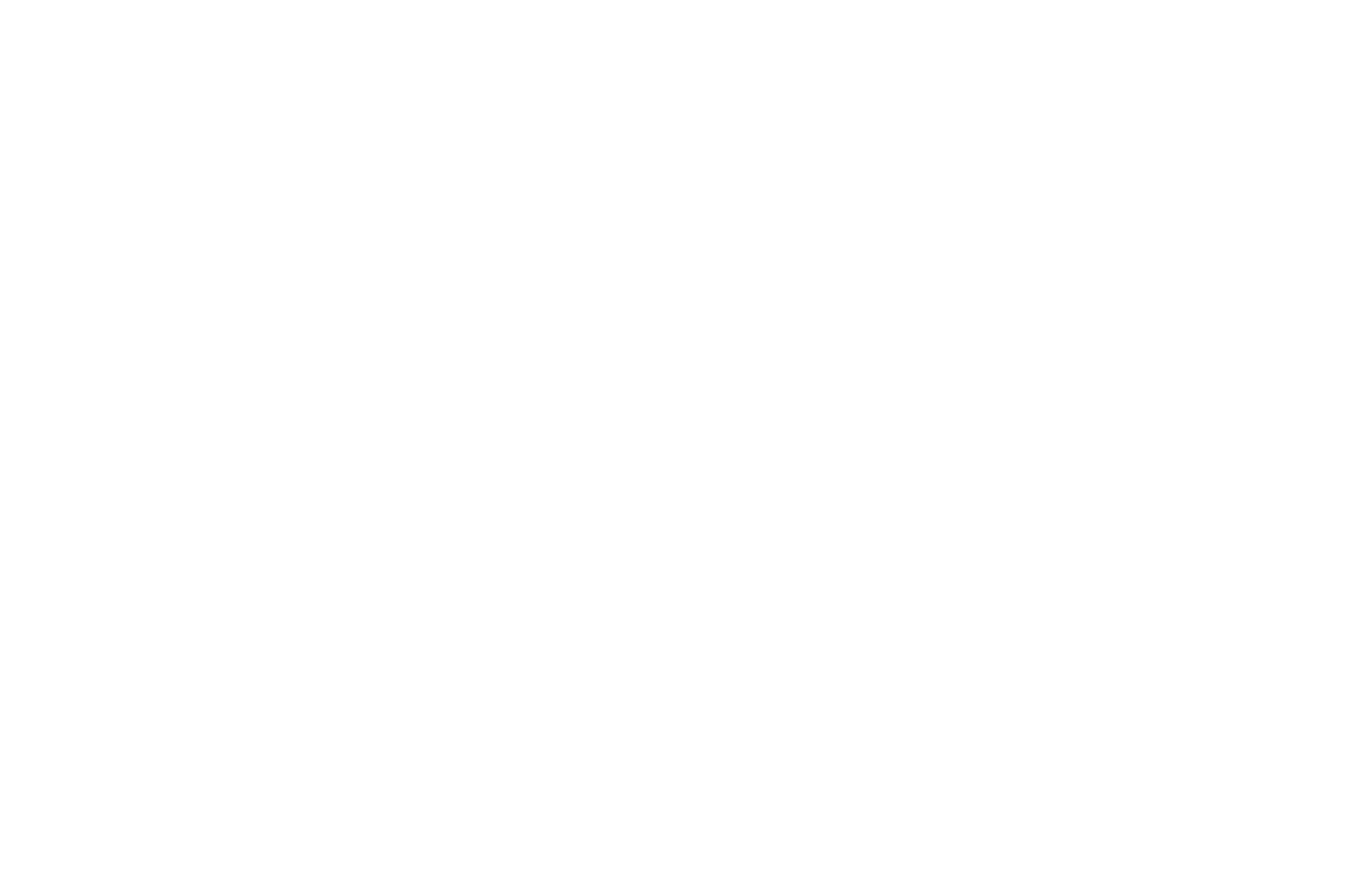 WINNER BEST%20COMEDY%20-%20San%20Diego%20Black%20Film%20Festival%20-%202008